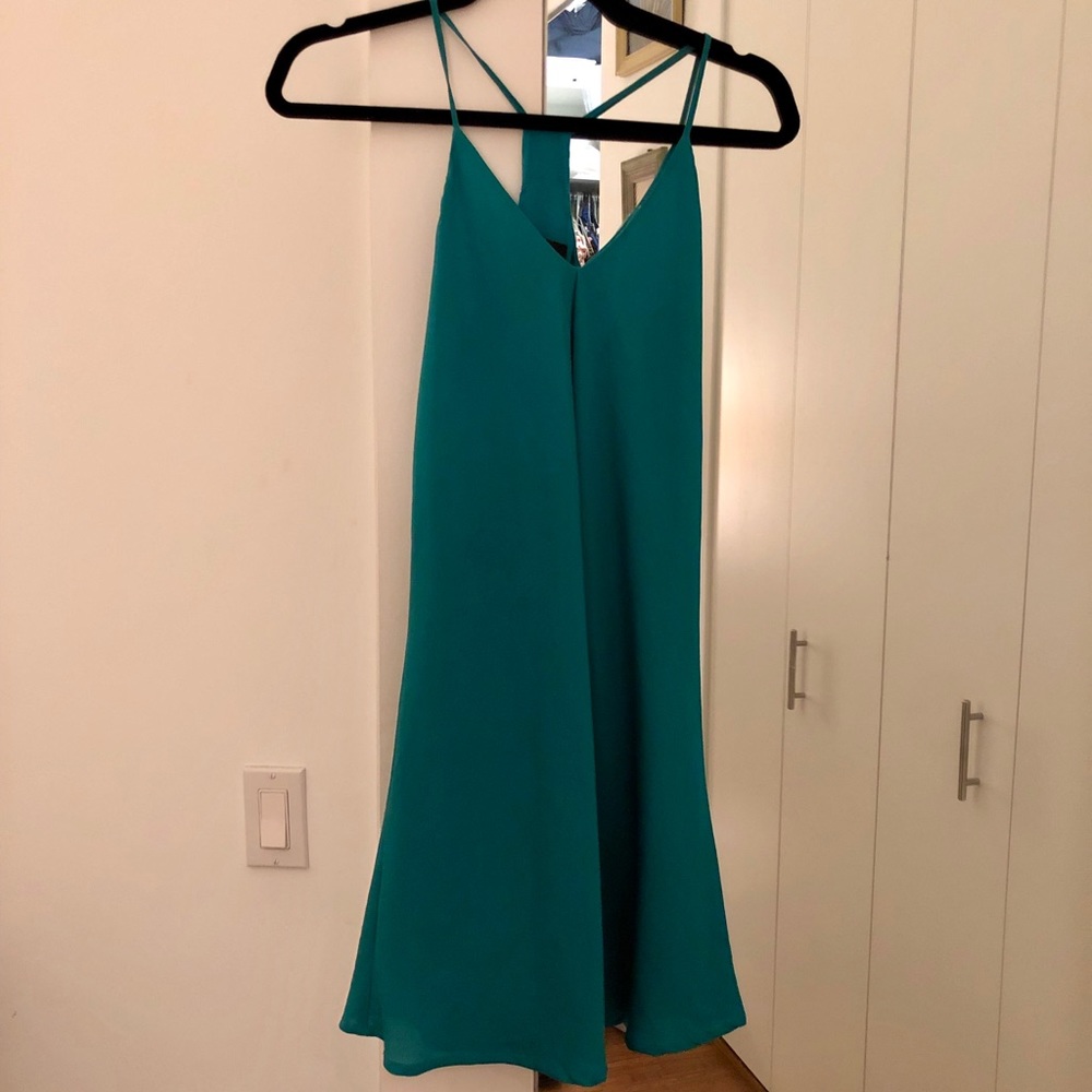 Nearly perfect condition naked zebra slip dress
